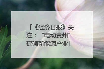 《经济日报》关注：“电动贵州”建强新能源产业