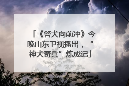 《警犬向前冲》今晚山东卫视播出，“神犬奇兵”炼成记