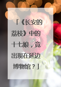 《长安的荔枝》中的十七娘，竟出现在延边博物馆？