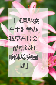 《风驰赛车手》举办私享看片会 酷酷综打响体综突围战