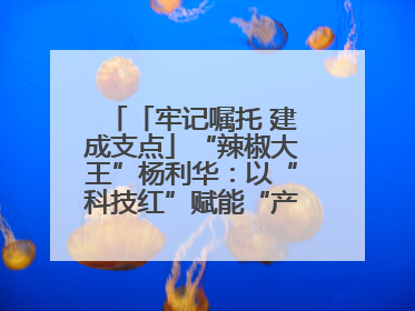 「牢记嘱托 建成支点」“辣椒大王”杨利华：以“科技红”赋能“产业绿”