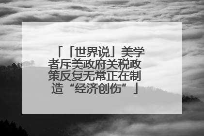 「世界说」美学者斥美政府关税政策反复无常正在制造“经济创伤”