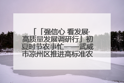 「强信心 看发展·高质量发展调研行」初夏时节农事忙——武威市凉州区推进高标准农田建设见闻