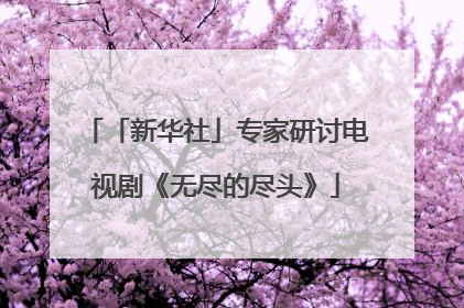 「新华社」专家研讨电视剧《无尽的尽头》
