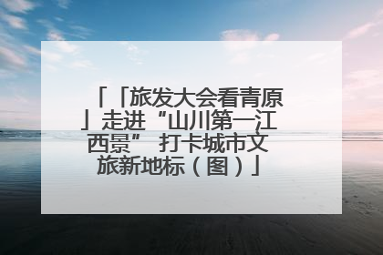 「旅发大会看青原」走进“山川第一江西景” 打卡城市文旅新地标（图）
