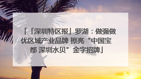 「深圳特区报」罗湖：做强做优区域产业品牌 擦亮“中国宝都 深圳水贝”金字招牌