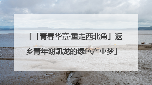 「青春华章·重走西北角」返乡青年谢凯龙的绿色产业梦
