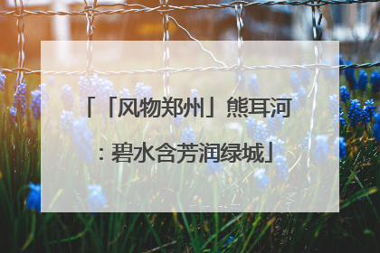 「风物郑州」熊耳河：碧水含芳润绿城