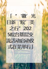 “‘徽’光日新‘皖’美之行”2025皖台基层交流活动启动仪式在芜举行