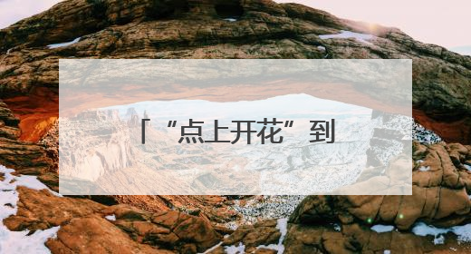 “点上开花”到“全域共美”