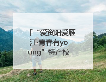 “爱资阳爱雁江·青春有young”特产校园行活动启幕
