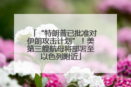 “特朗普已批准对伊朗攻击计划”！美第三艘航母将部署至以色列附近