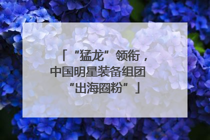 “猛龙”领衔，中国明星装备组团“出海圈粉”