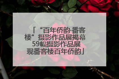 “百年侨韵·番客楼”摄影作品展揭幕 59幅摄影作品展现番客楼百年侨韵