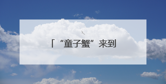 “童子蟹”来到厦门市场，专家支招如何挑选→