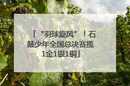 “羽球旋风”！石鼓少年全国总决赛揽1金1银1铜
