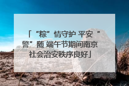 “粽”情守护 平安“警”随 端午节期间南京社会治安秩序良好