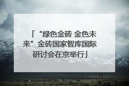 “绿色金砖 金色未来”金砖国家智库国际研讨会在京举行