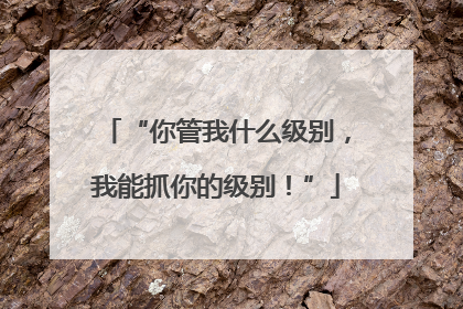 “你管我什么级别，我能抓你的级别！”