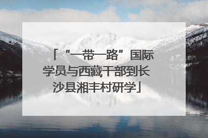“一带一路”国际学员与西藏干部到长沙县湘丰村研学