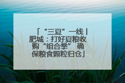 “三夏”一线丨肥城：打好夏粮收购“组合拳” 确保粮食颗粒归仓