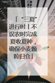 “三夏”进行时丨不误农时完成夏收夏种，确保小麦颗粒归仓