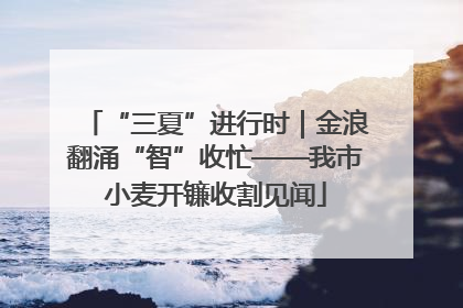 “三夏”进行时｜金浪翻涌“智”收忙——我市小麦开镰收割见闻