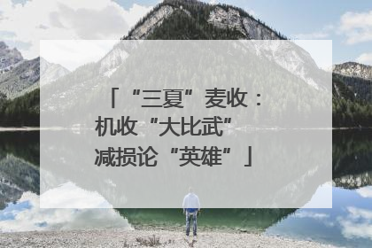 “三夏”麦收：机收“大比武” 减损论“英雄”