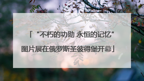 “不朽的功勋 永恒的记忆”图片展在俄罗斯圣彼得堡开幕