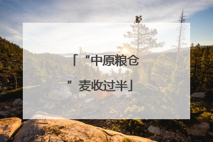 “中原粮仓”麦收过半