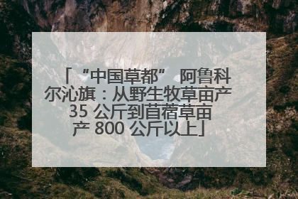 “中国草都” 阿鲁科尔沁旗：从野生牧草亩产 35 公斤到苜蓿草亩产 800 公斤以上