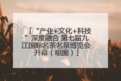 “产业+文化+科技”深度融合 第七届九江国际名茶名泉博览会开幕（组图）