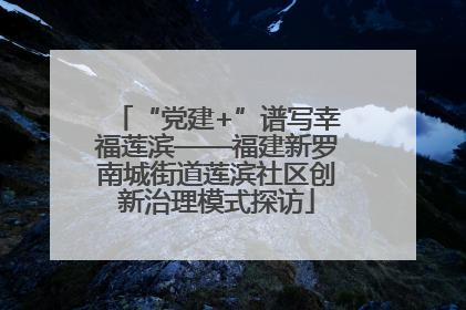 “党建+”谱写幸福莲滨——福建新罗南城街道莲滨社区创新治理模式探访