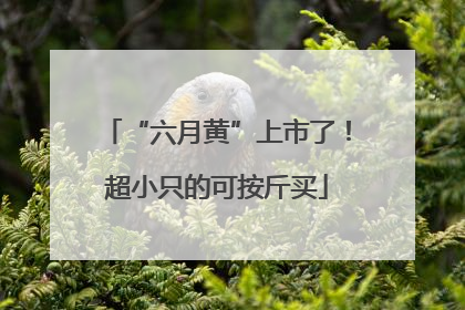 “六月黄”上市了！超小只的可按斤买