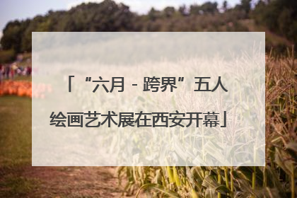 “六月 - 跨界”五人绘画艺术展在西安开幕
