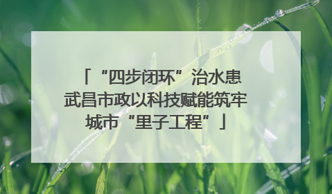 “四步闭环”治水患 武昌市政以科技赋能筑牢城市“里子工程”