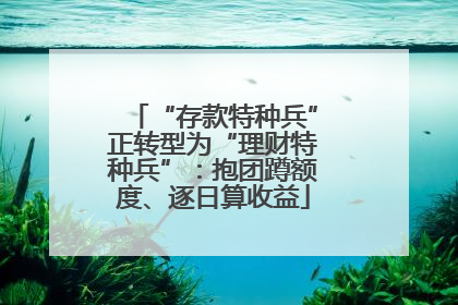 “存款特种兵”正转型为“理财特种兵”：抱团蹲额度、逐日算收益