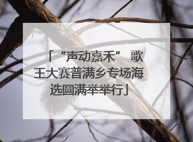“声动嘉禾” 歌王大赛普满乡专场海选圆满举举行