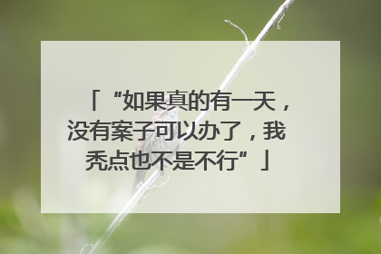 “如果真的有一天，没有案子可以办了，我秃点也不是不行”