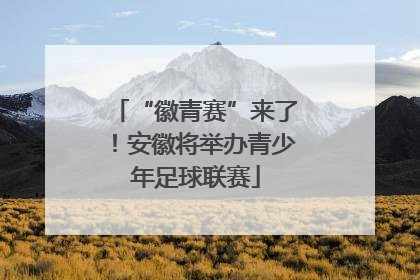 “徽青赛”来了！安徽将举办青少年足球联赛