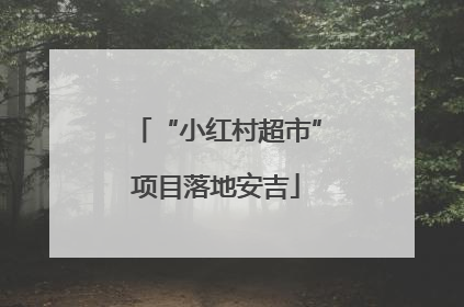 “小红村超市”项目落地安吉