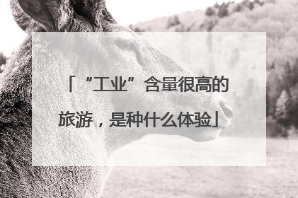 “工业”含量很高的旅游，是种什么体验