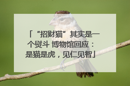 “招财猫”其实是一个熨斗 博物馆回应：是猫是虎，见仁见智