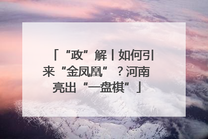 “政”解丨如何引来“金凤凰”？河南亮出“一盘棋”