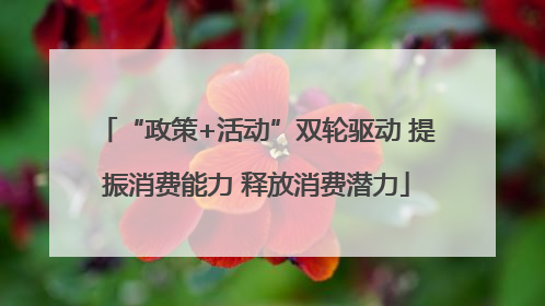 “政策+活动”双轮驱动 提振消费能力 释放消费潜力