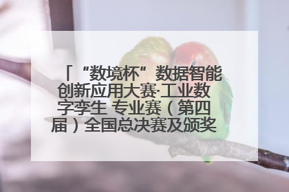 “数境杯”数据智能创新应用大赛·工业数字孪生 专业赛（第四届）全国总决赛及颁奖典礼成功举办