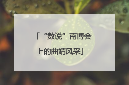 “数说”南博会上的曲靖风采