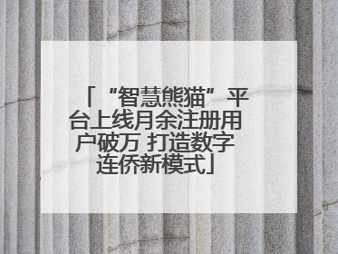 “智慧熊猫”平台上线月余注册用户破万 打造数字连侨新模式