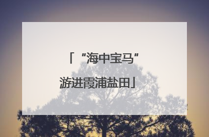 “海中宝马”游进霞浦盐田