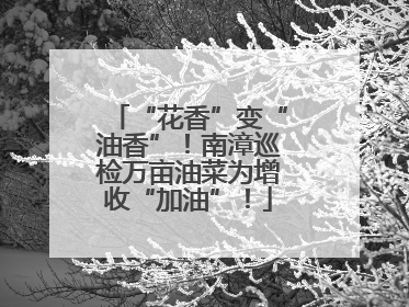 “花香”变“油香”！南漳巡检万亩油菜为增收“加油”！